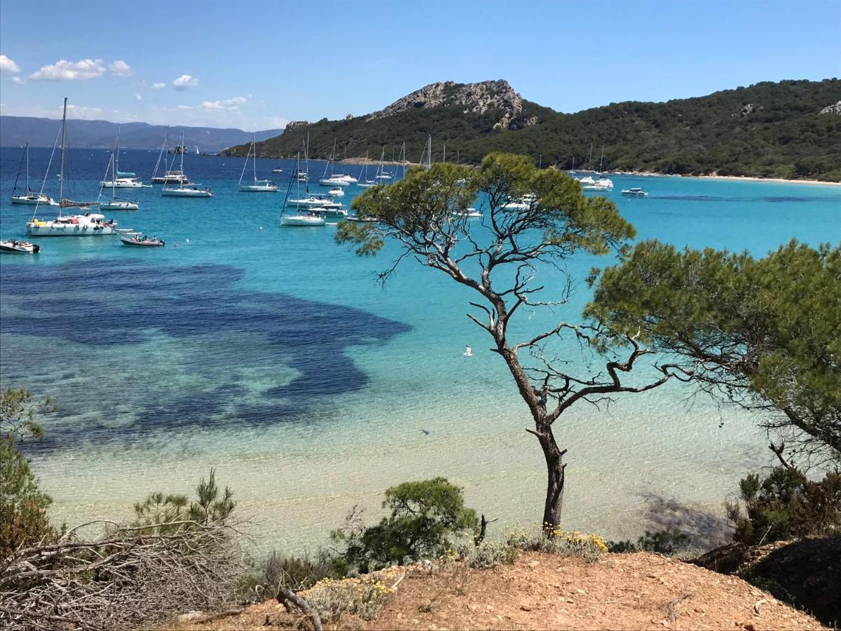 Suite indépendante standing, terrasse arborée et parking privé discret dans villa contemporaine avec piscine. La Valette-du-Var Exterior foto