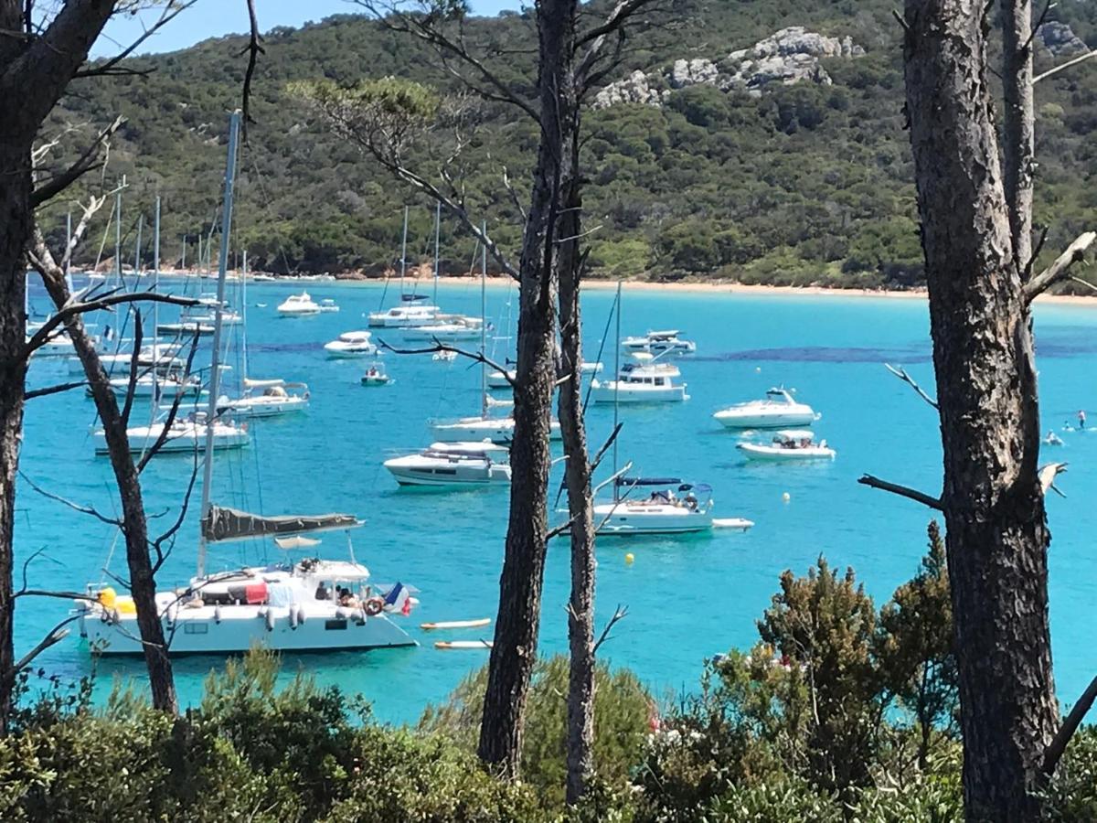Suite indépendante standing, terrasse arborée et parking privé discret dans villa contemporaine avec piscine. La Valette-du-Var Exterior foto